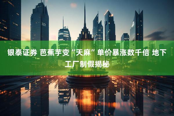 银泰证券 芭蕉芋变“天麻”单价暴涨数千倍 地下工厂制假揭秘