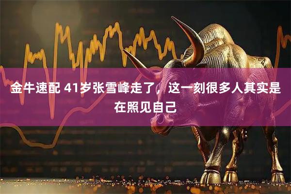 金牛速配 41岁张雪峰走了，这一刻很多人其实是在照见自己