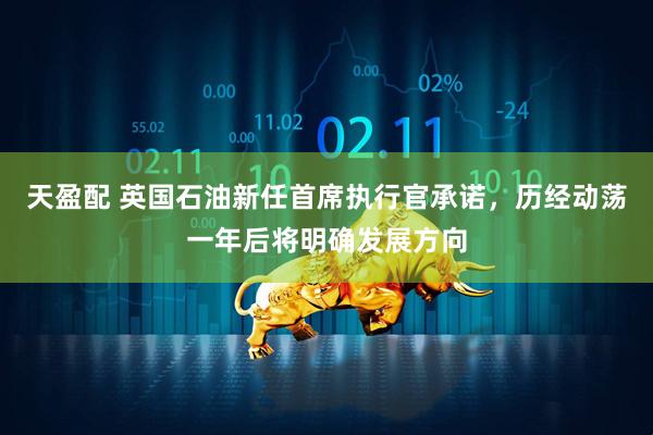 天盈配 英国石油新任首席执行官承诺，历经动荡一年后将明确发展方向