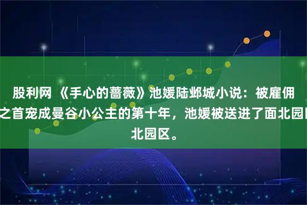 股利网 《手心的蔷薇》池媛陆邺城小说：被雇佣兵之首宠成曼谷小公主的第十年，池媛被送进了面北园区。