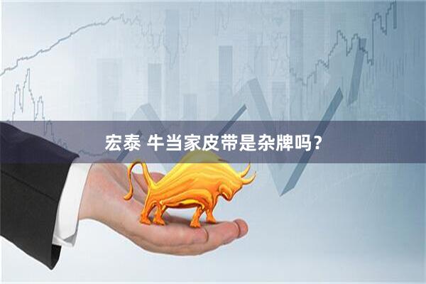 宏泰 牛当家皮带是杂牌吗？